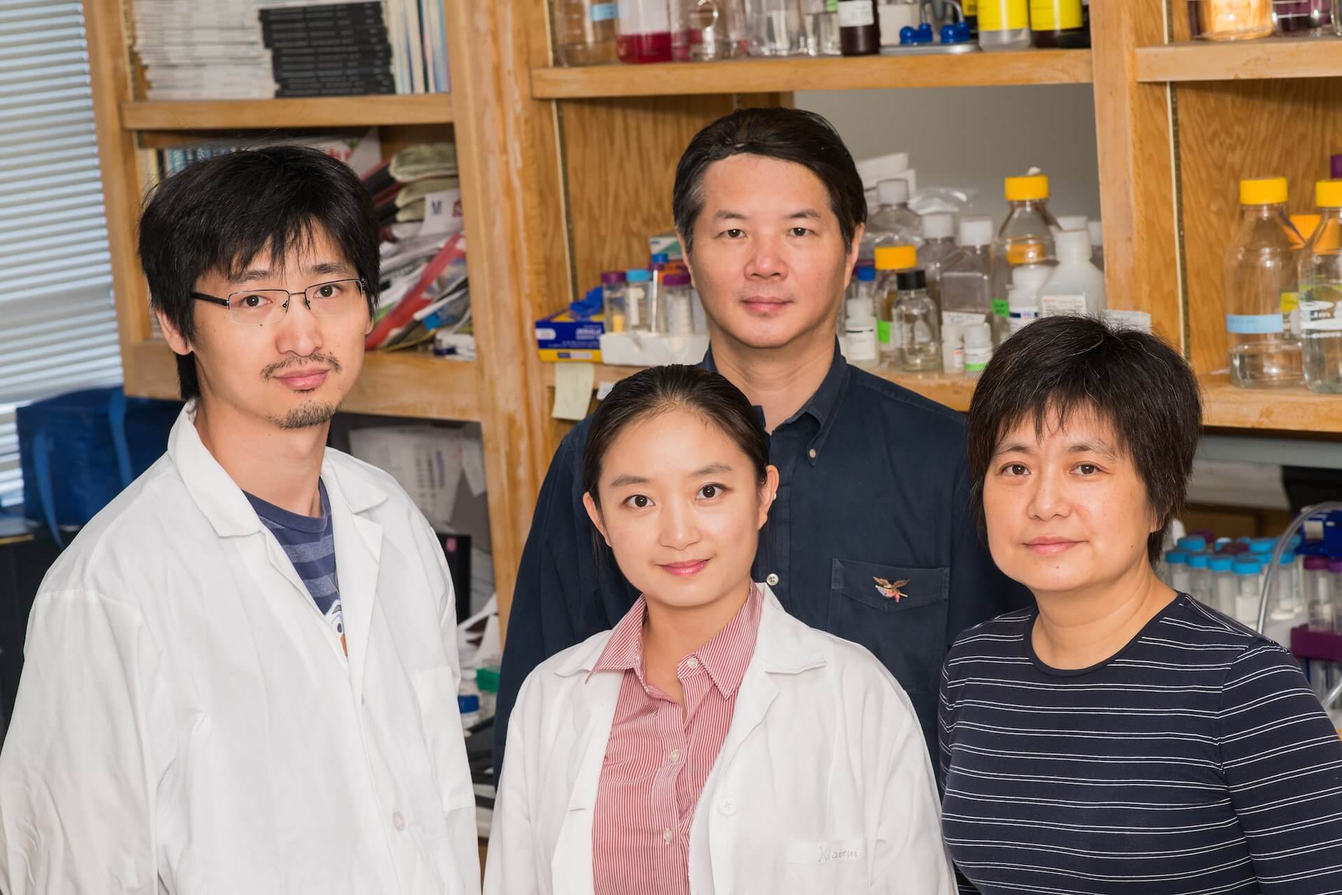 A team of researchers from Baylor College of Medicine and Rice University has captured the first structural map of leiomodin 2, a protein involved in the neuromuscular disease nemaline myopathy. From left: Fengyun Ni and Xiaorui Chen, postdoctoral researchers at Baylor; biochemist Jianpeng Ma, a professor at Rice and Baylor; and biochemist Qinghua Wang, an assistant professor at Baylor. (Credit: Jeff Fitlow/Rice University)