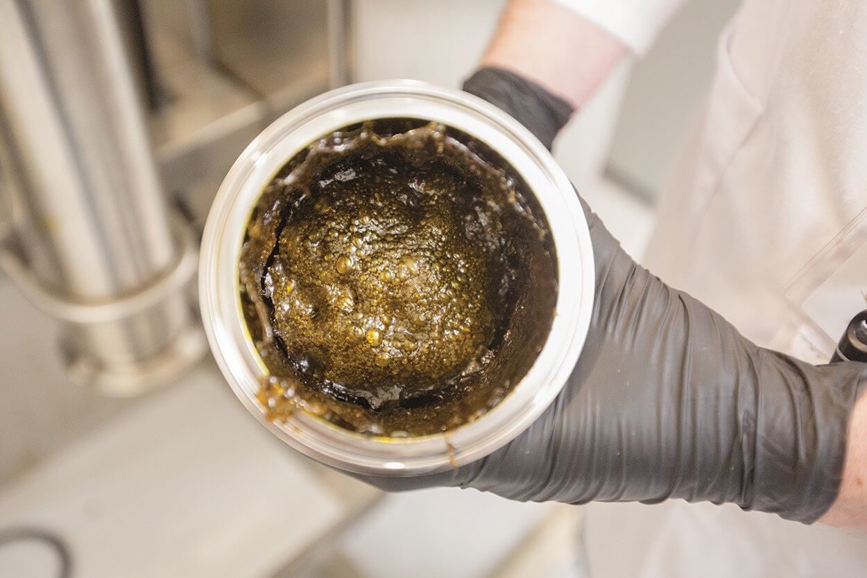 Compassionate Cultivation partners with Xabis, a cannabis processing company, to extract, purify and distill CBD oil.