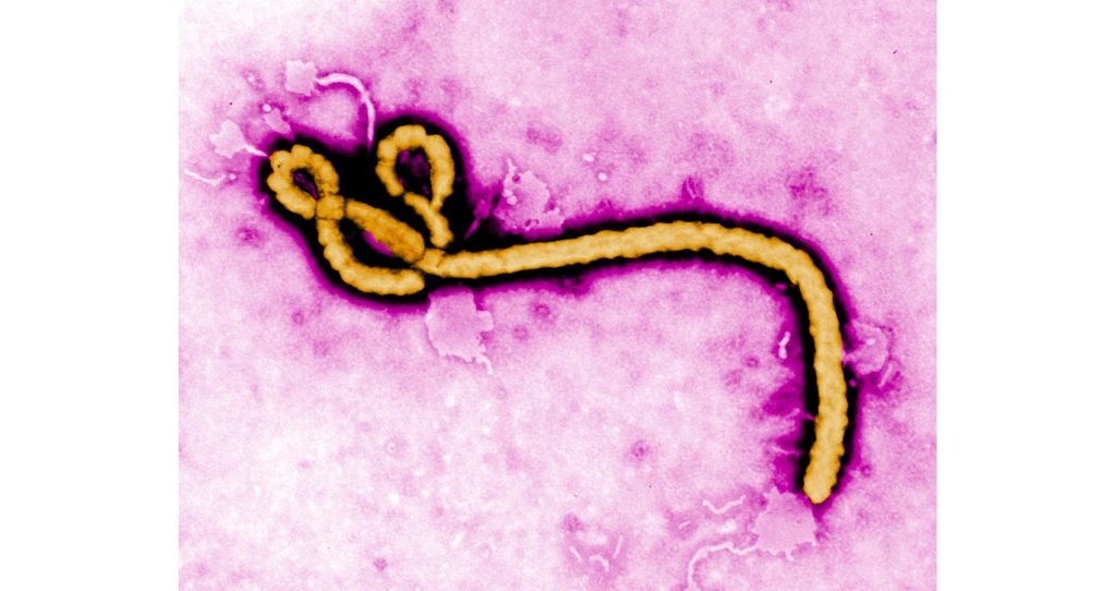Ebola-virus