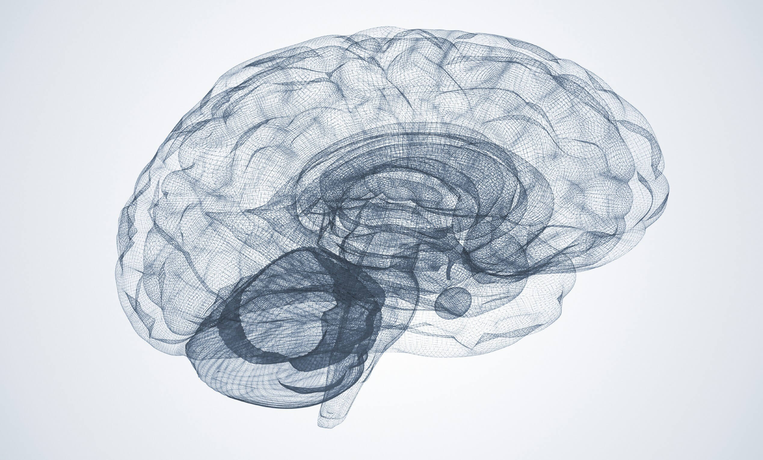 Simple Tasks Don't Test Brain's True Complexity - TMC News