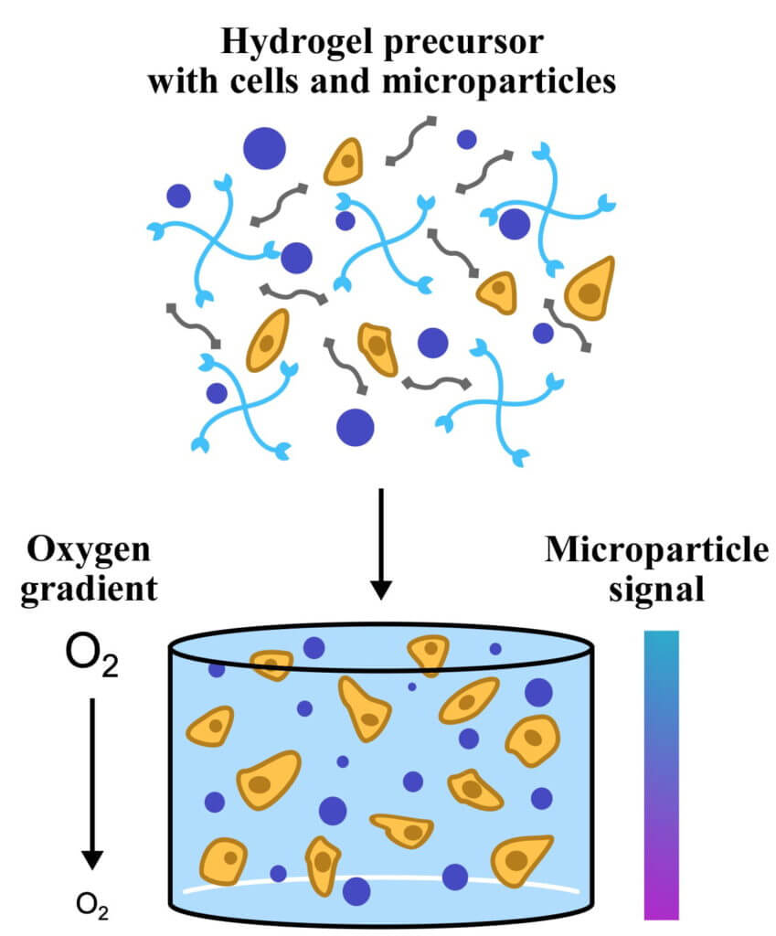 Rice Microparticles