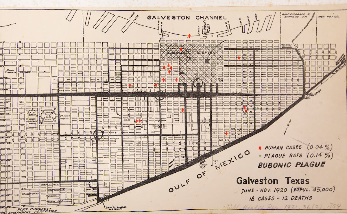 This map of Galveston marks where plague-infected rats and people were found.